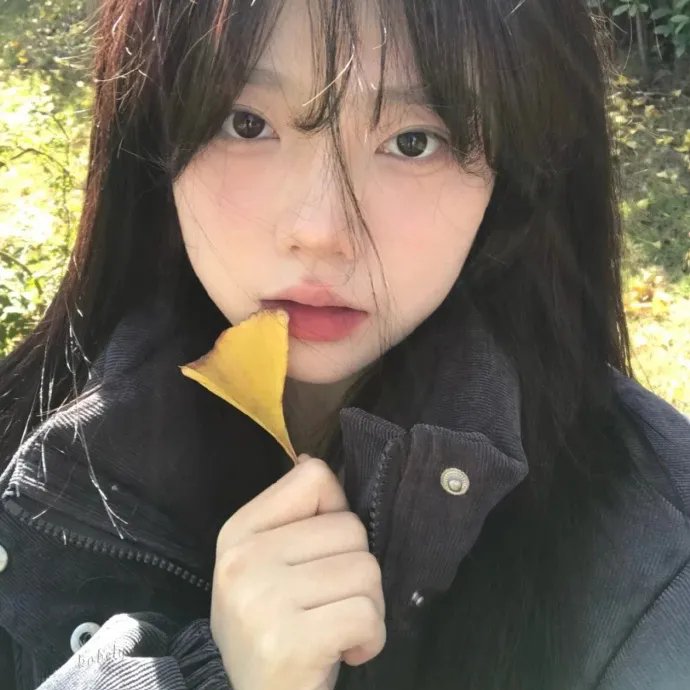 1/2的魔法